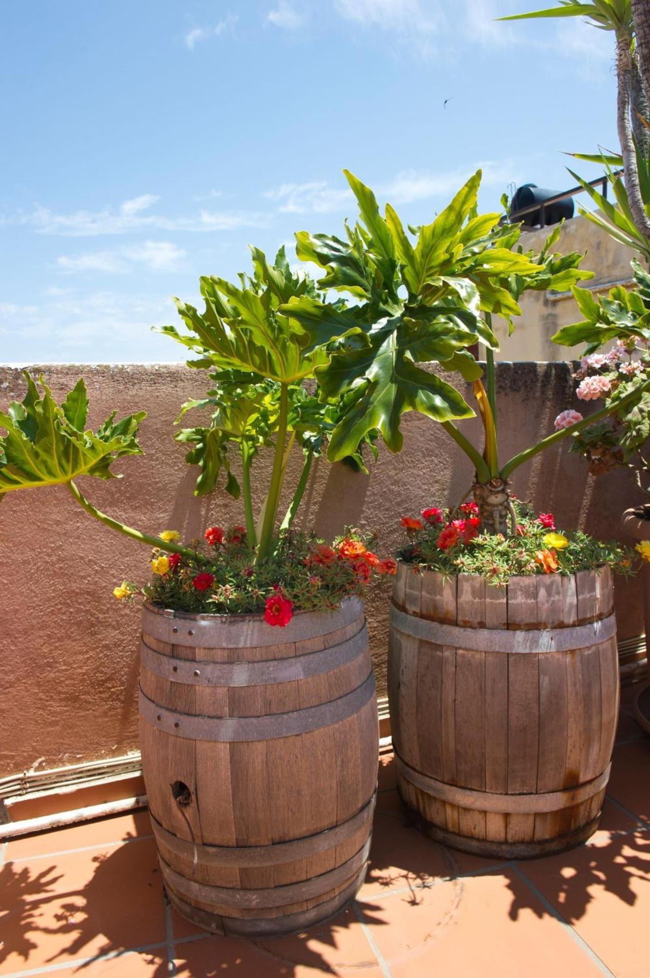 Guest house Eva Chania (Crete)