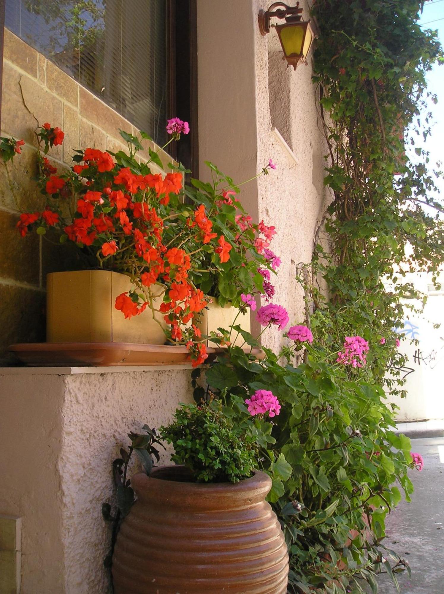 Tina Chania (Crete)