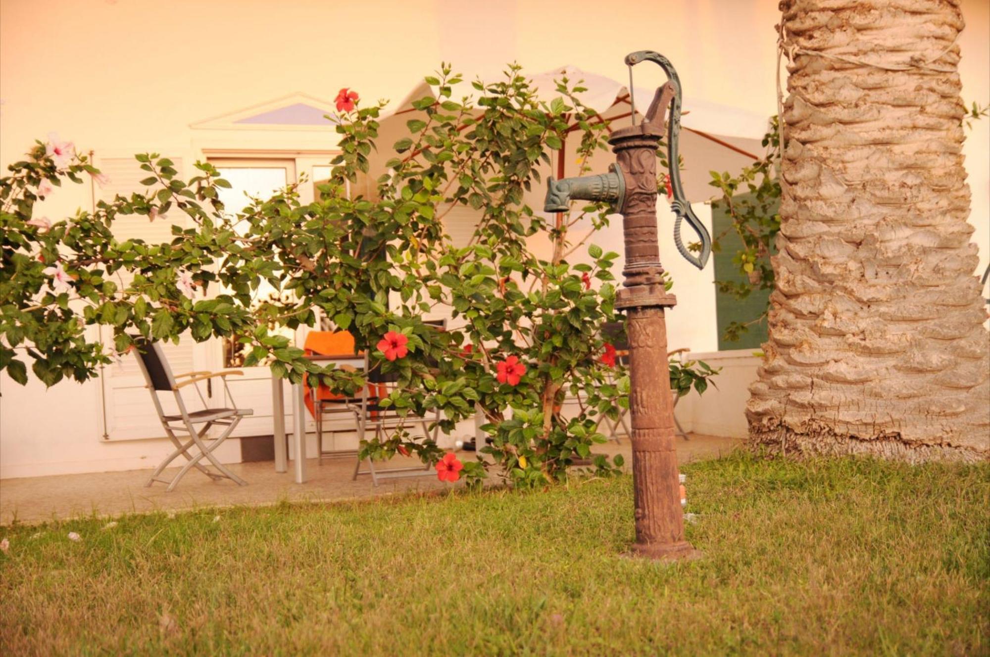 Akrotiri
