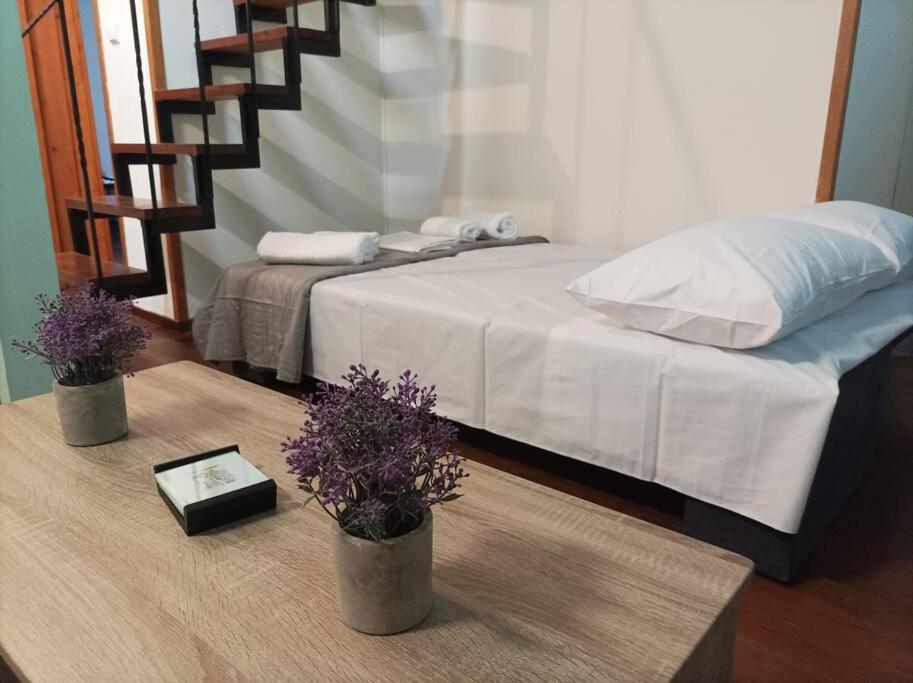Spla 5 , στην πόλη Apartment *