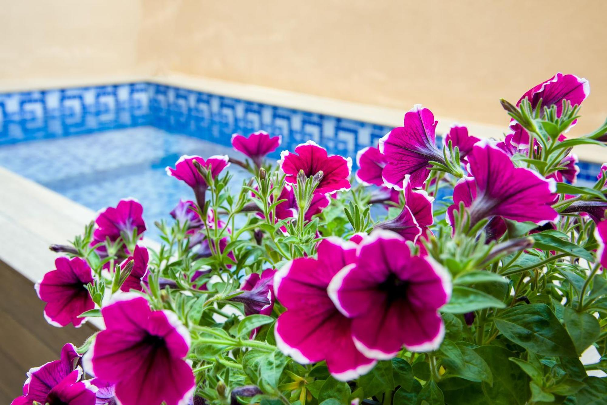 Apartment Aretousa