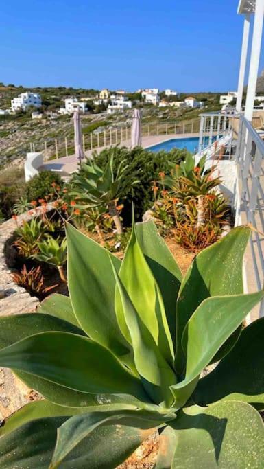 Villa What A View !!! Chania (Crete)
