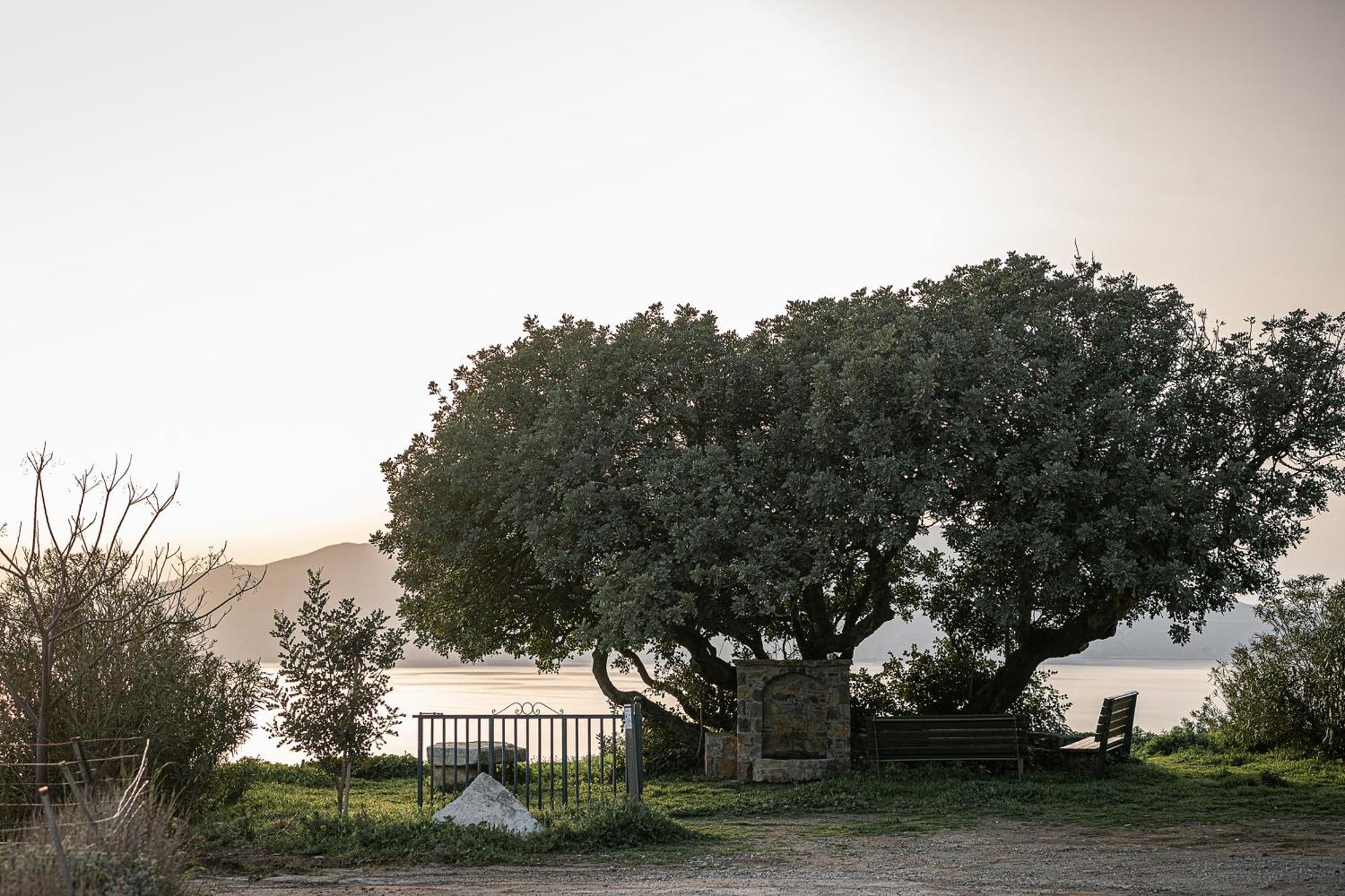 Casa Nougia Villa Chania (Crete)