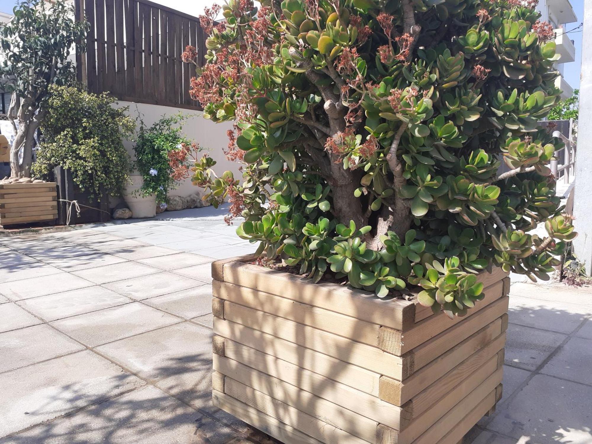 Appartement House Escape Chania (Crete)