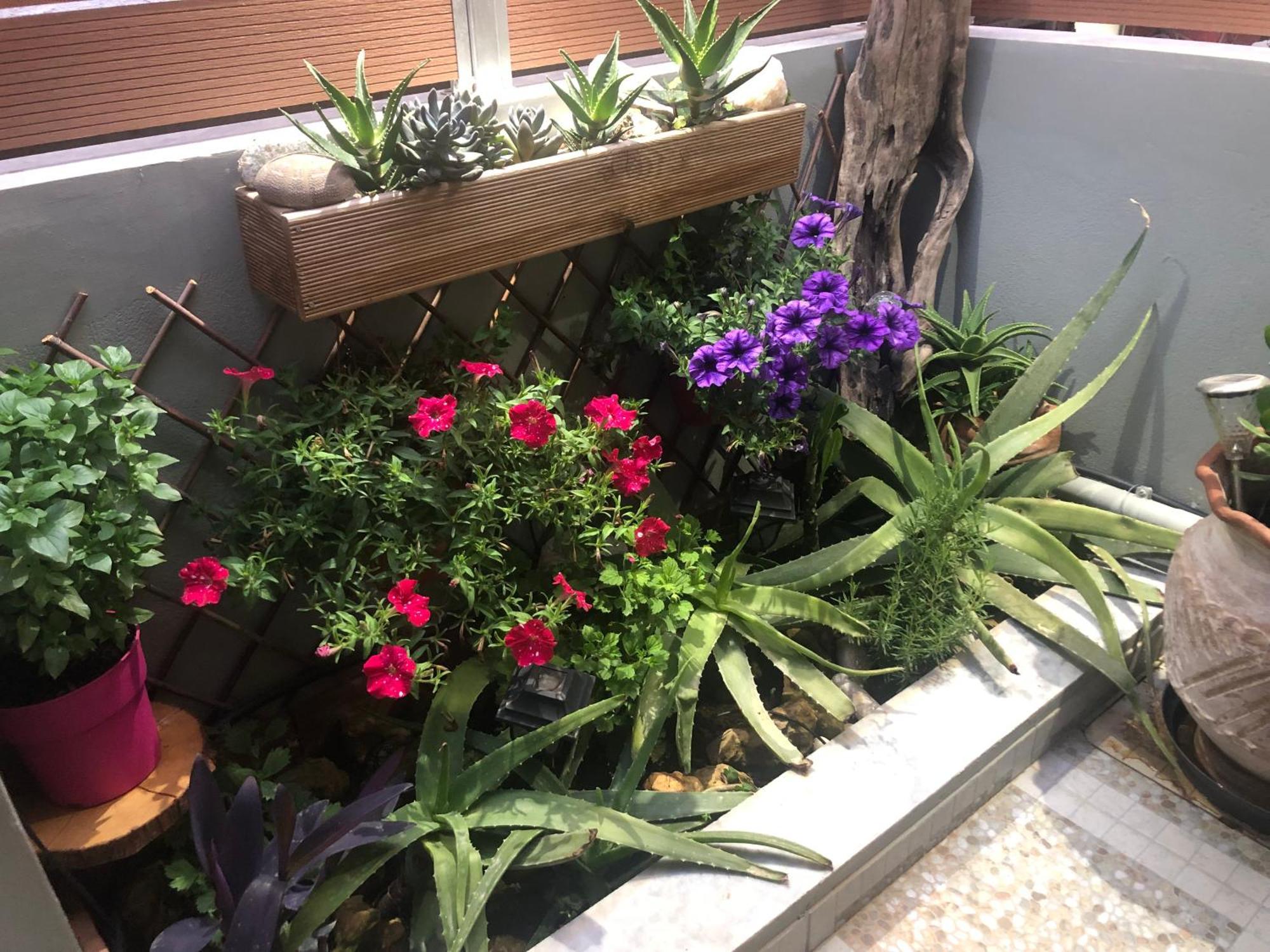 Summer Mood Apartamento