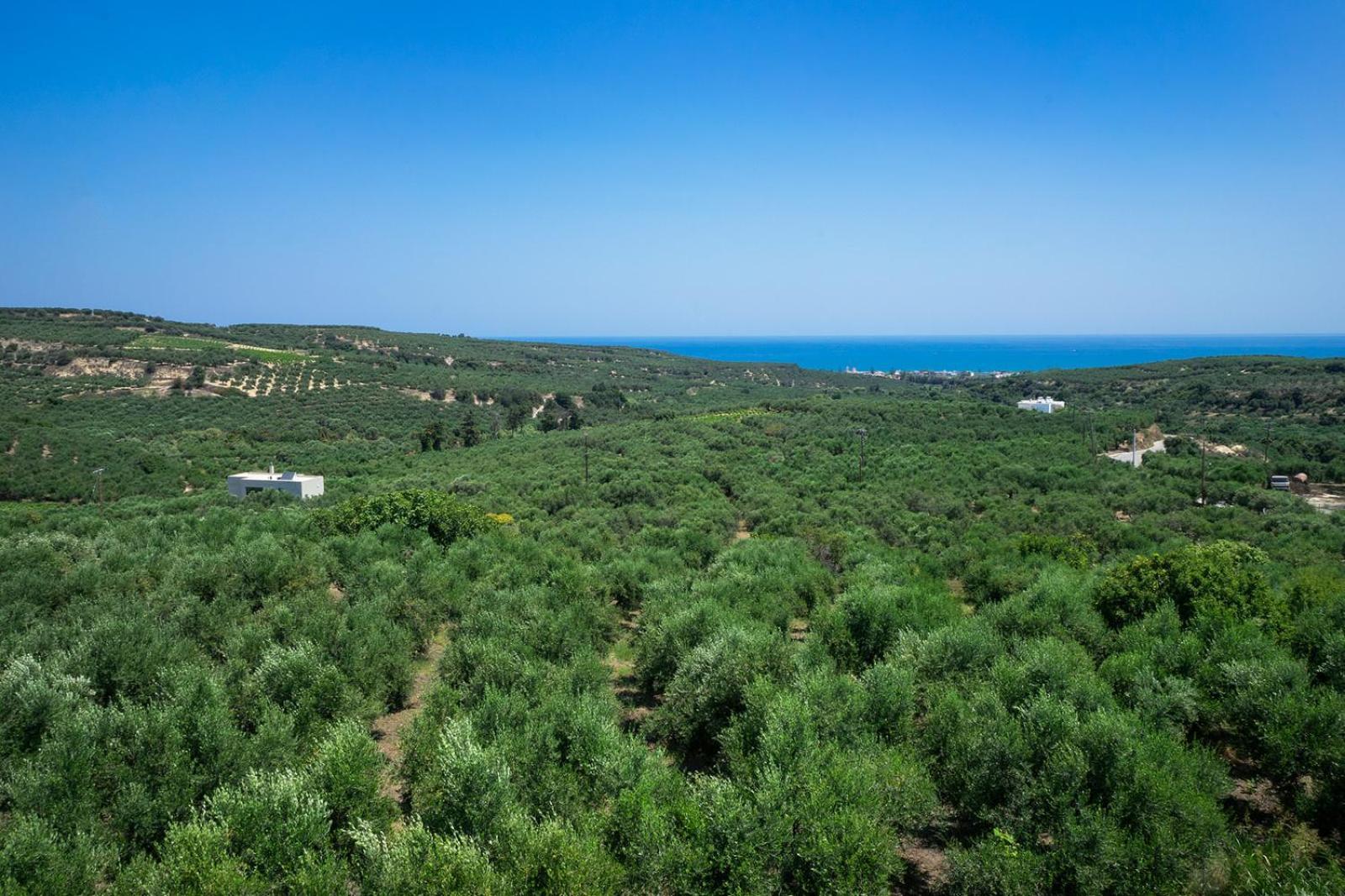 Aetheria Villa