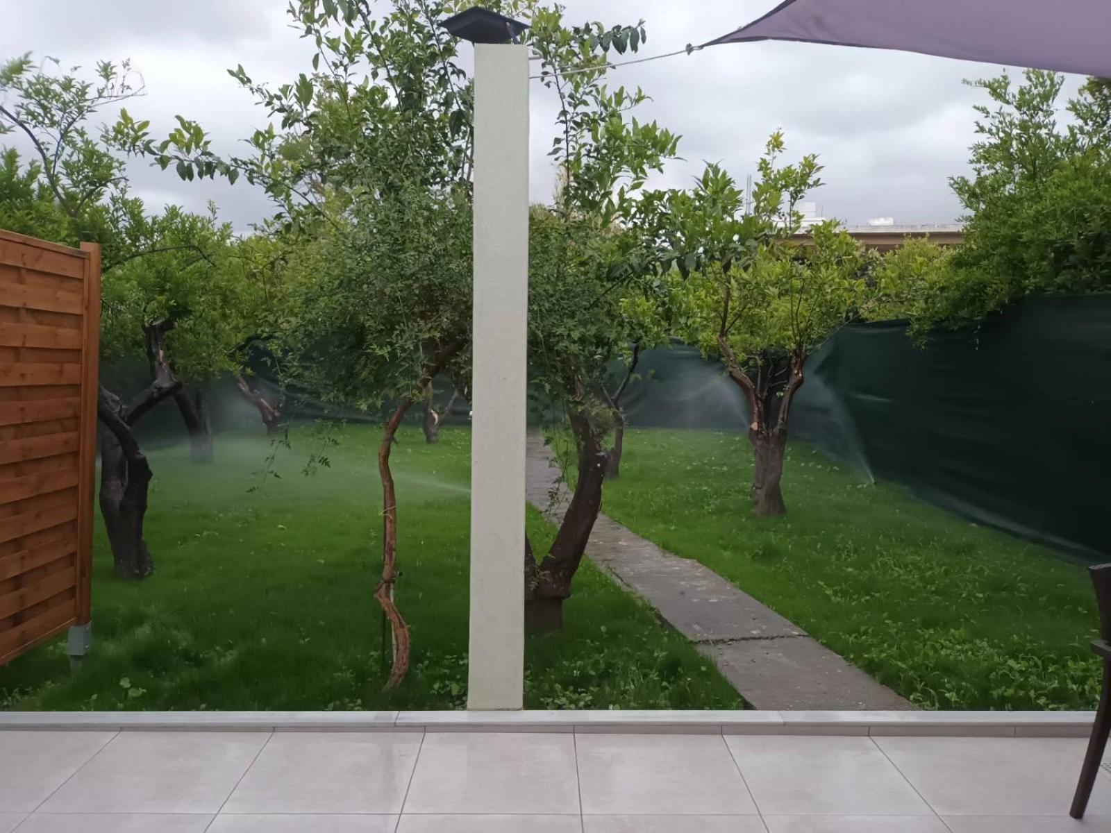 Olgas Cozy Apartment Chania (Crete)