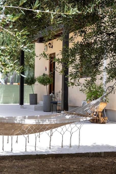 Olive Garden Chania Villa *