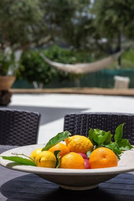 Olive Garden Chania Villa *