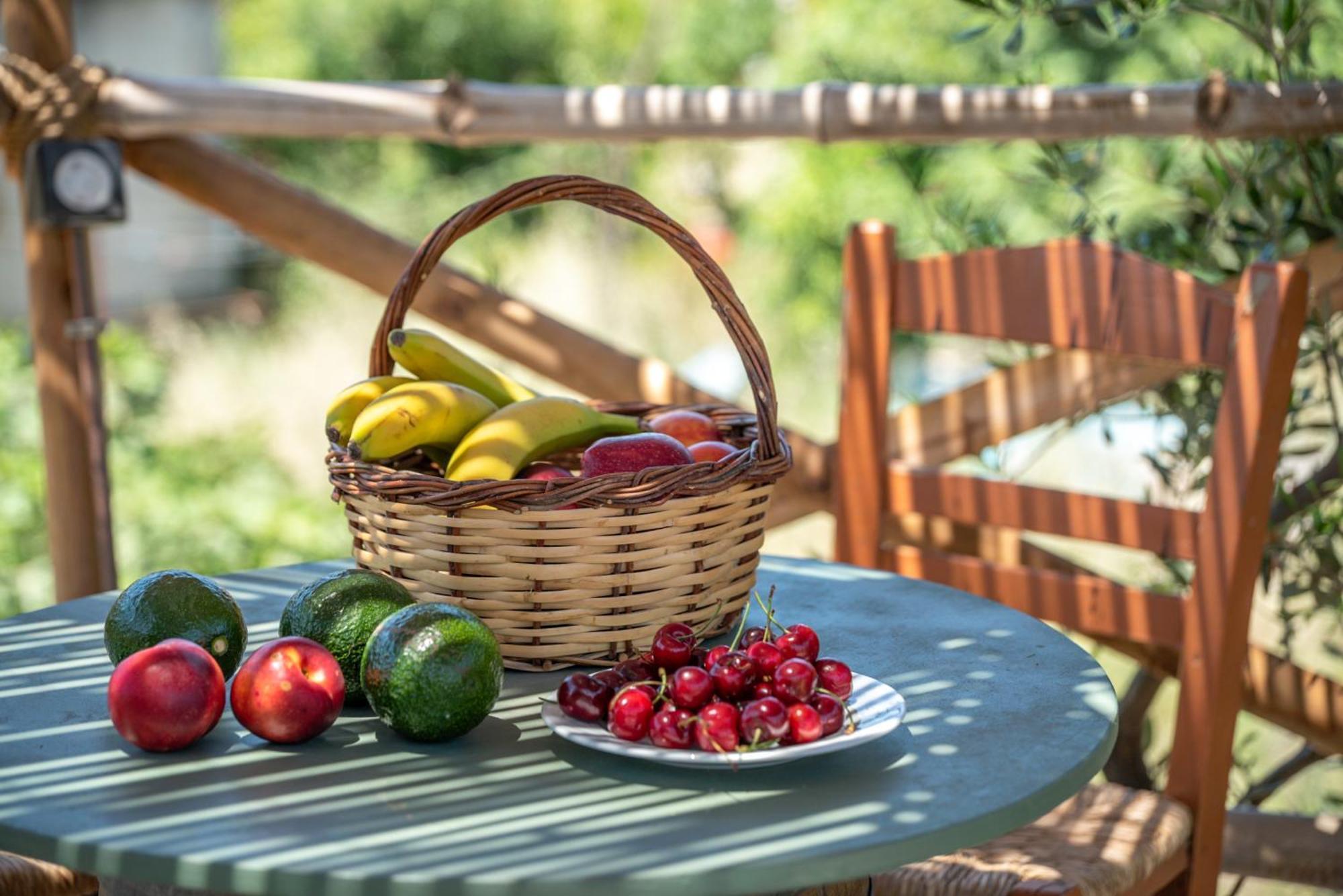 Eco Olive Treehouse Camping *