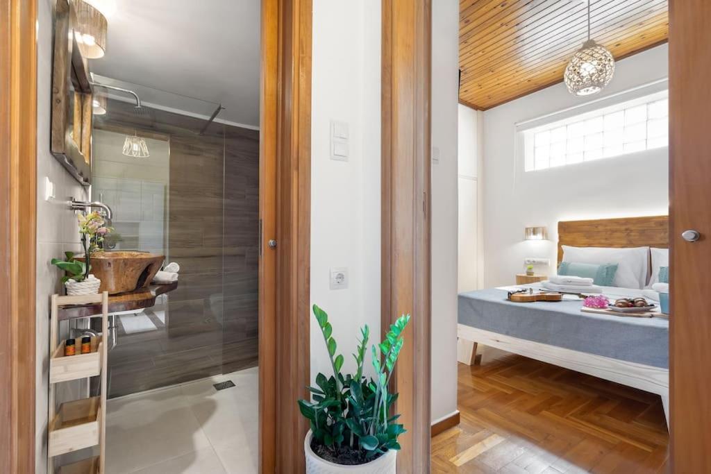 Apartment Maestro House *