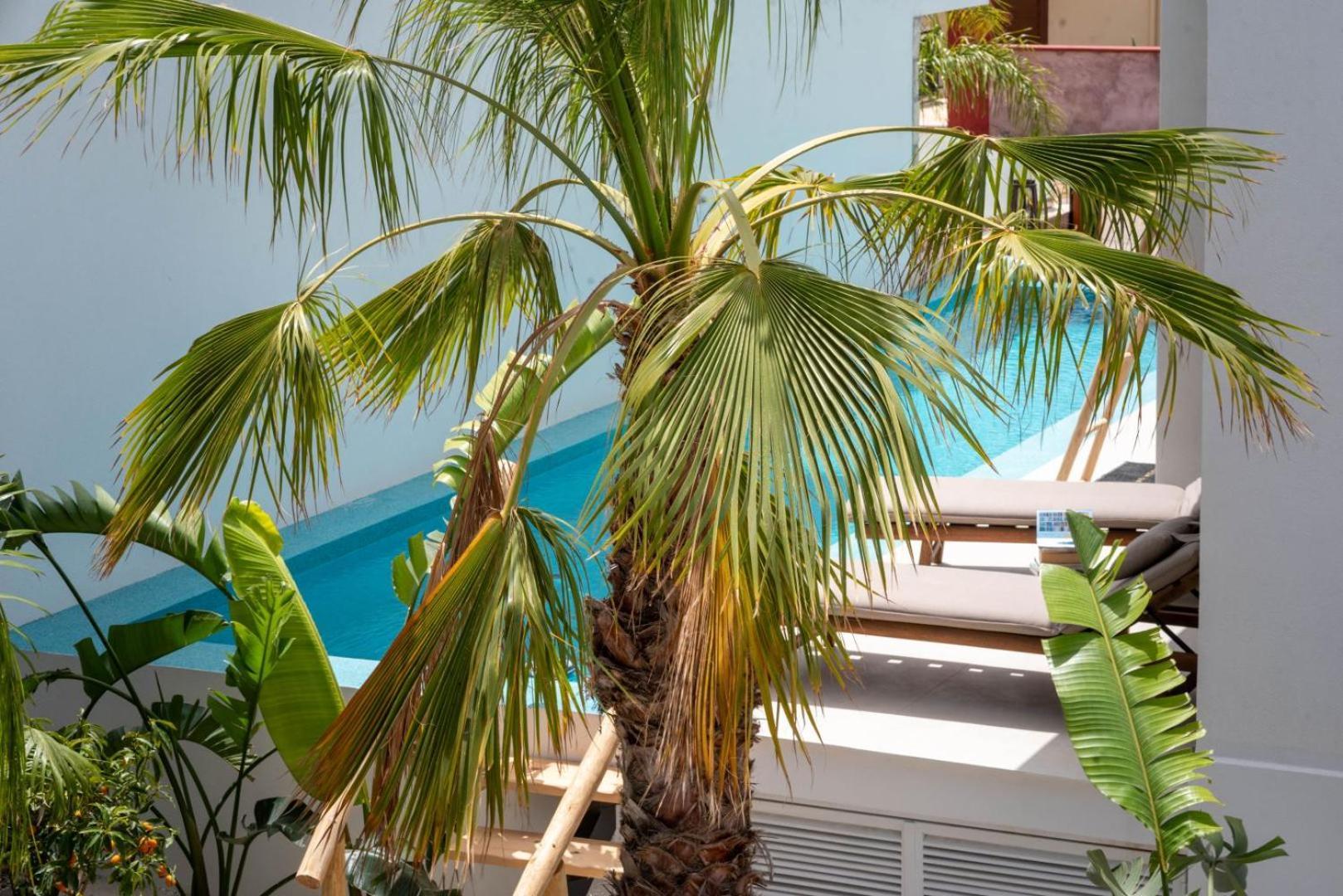 D Palm Premium Living - Kalathas, Chania Ferienhaus Chania (Crete)