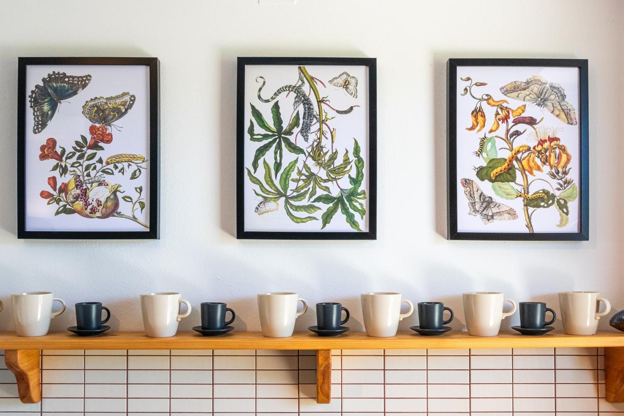 Maleme Yoga Blue Apartment *