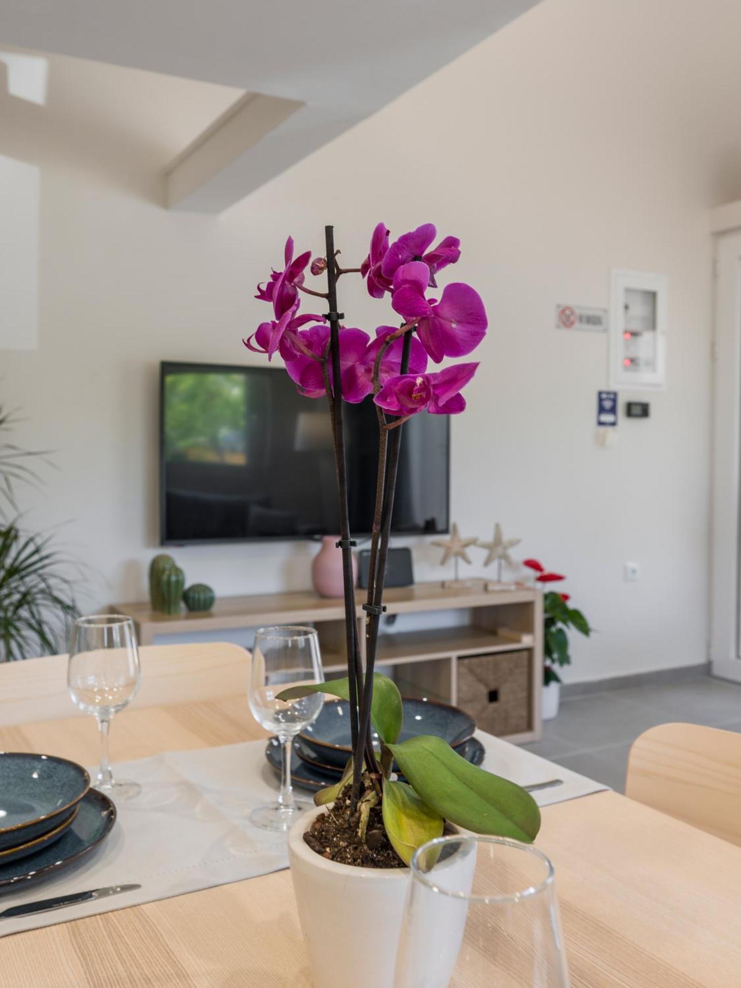 Eranthis Apartment Chania (Crete)