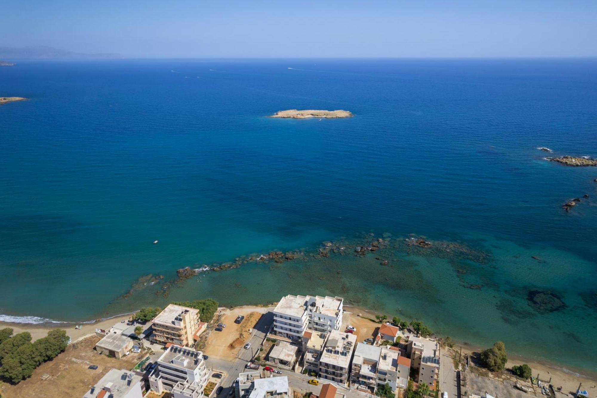 Eranthis Chania (Crete)