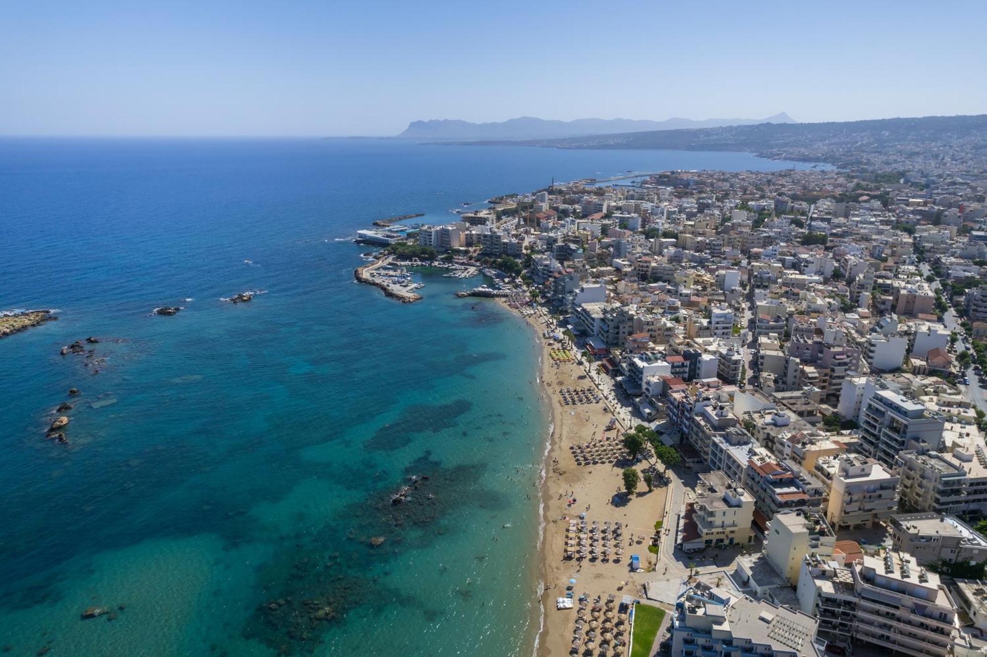 Eranthis * Chania (Crete)
