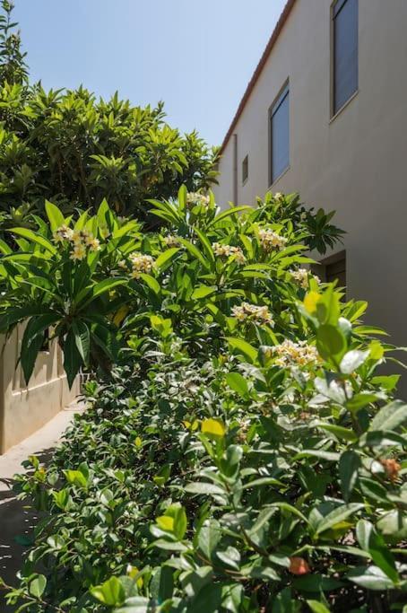 Casa In Giardino