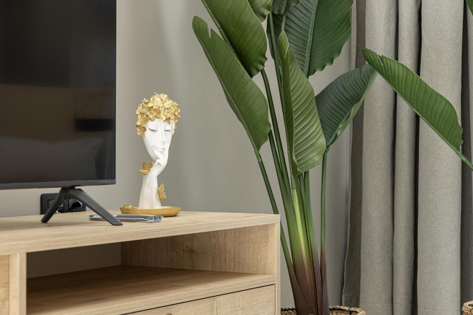 Apartment Premium Evangelia
