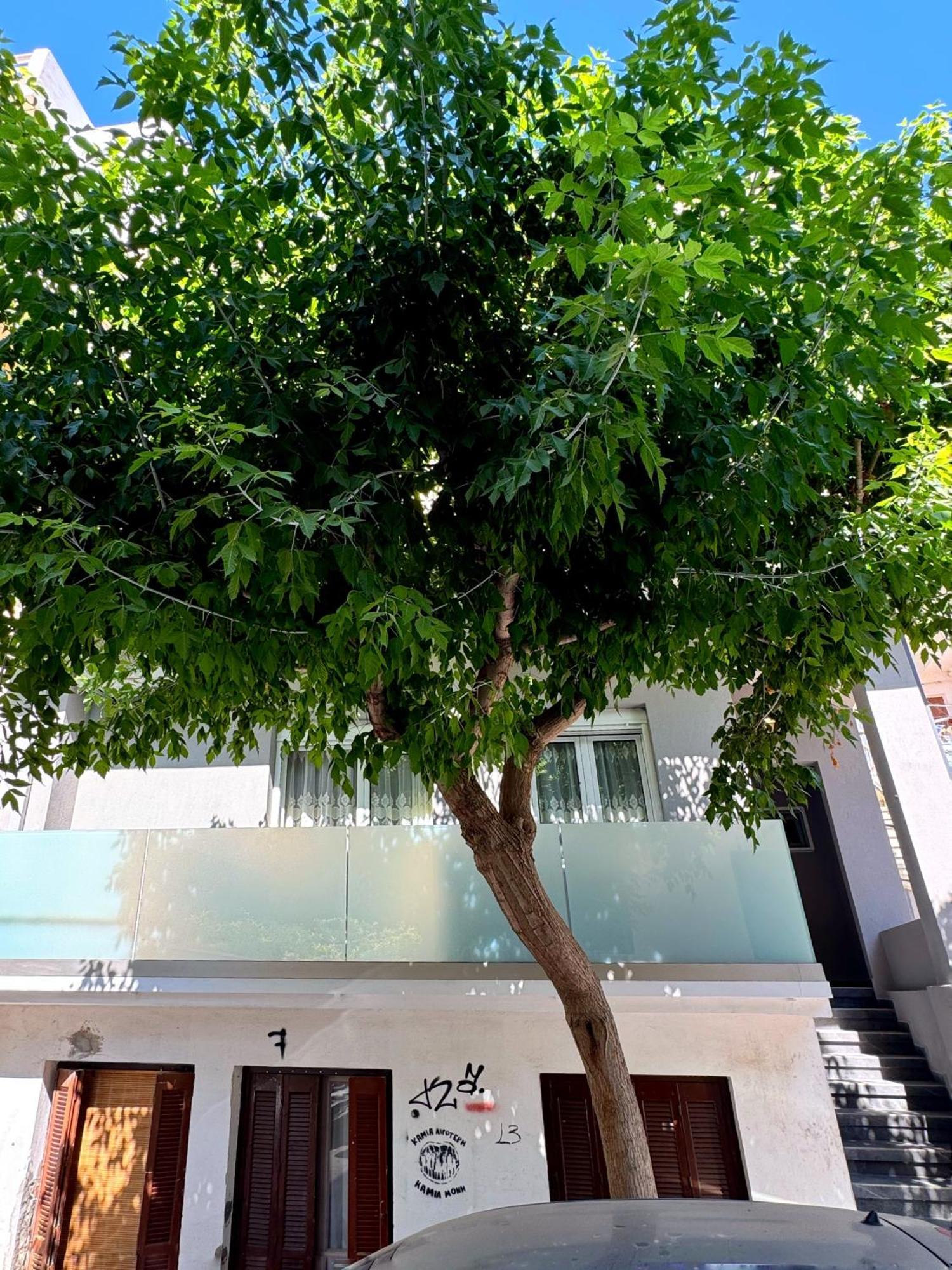 Apartment Lia Cozy Chania (Crete)