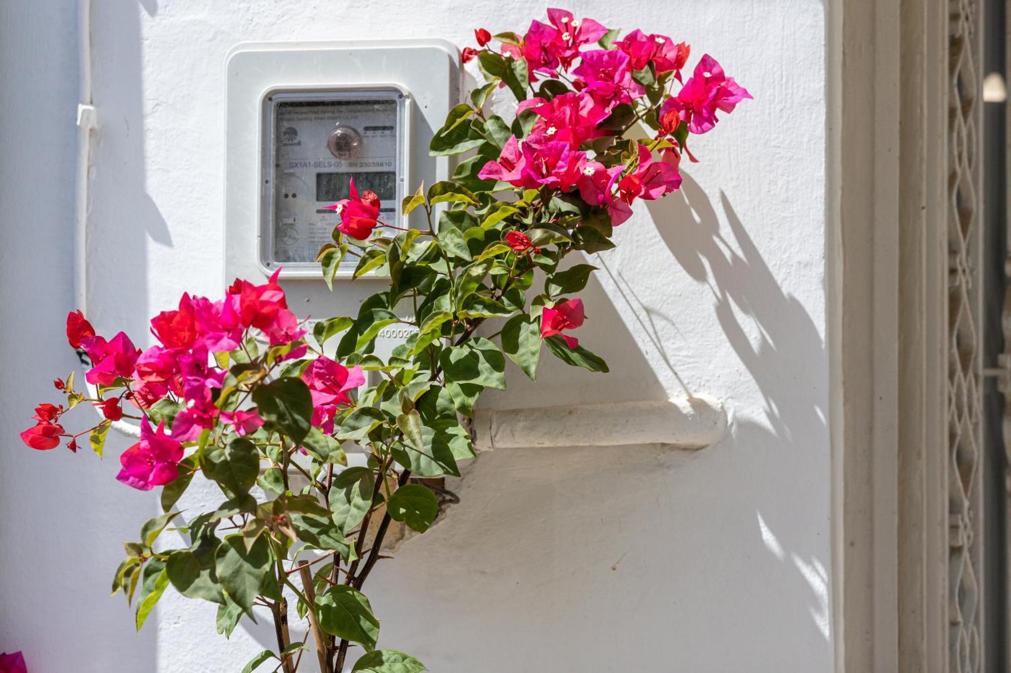 Argiro's House - Chania Old Town
