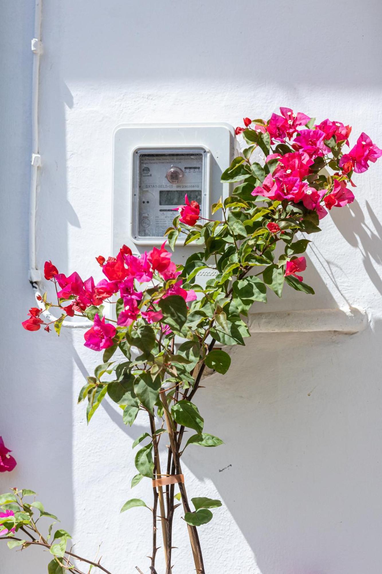 Argiro's House - Chania Old Town *