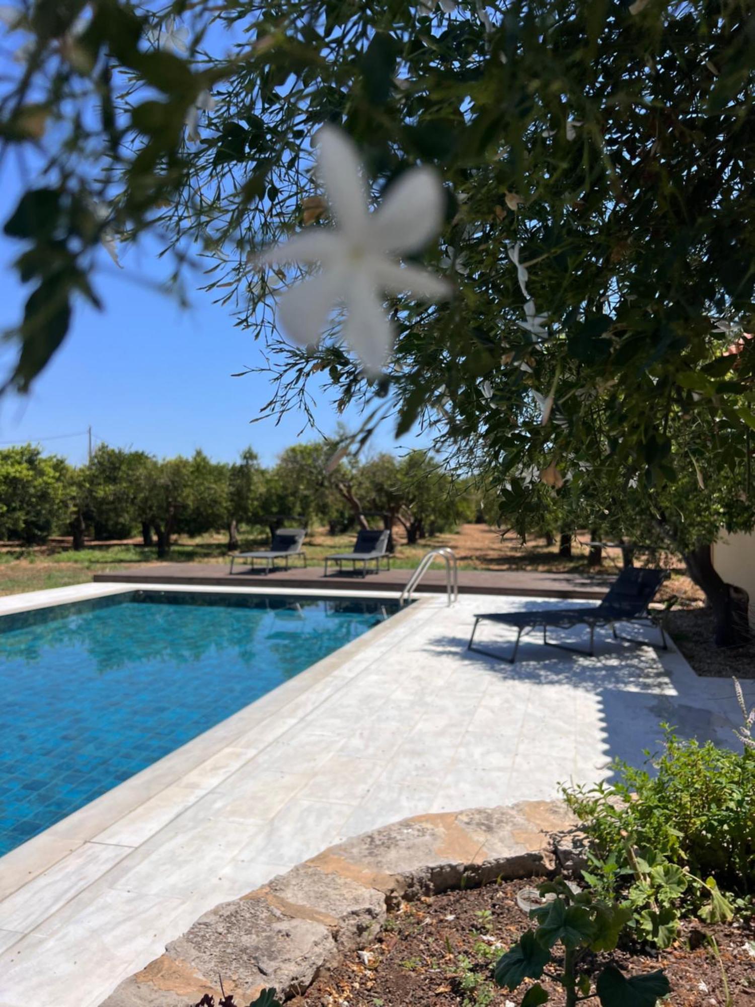 Tzortzinas Holiday home *