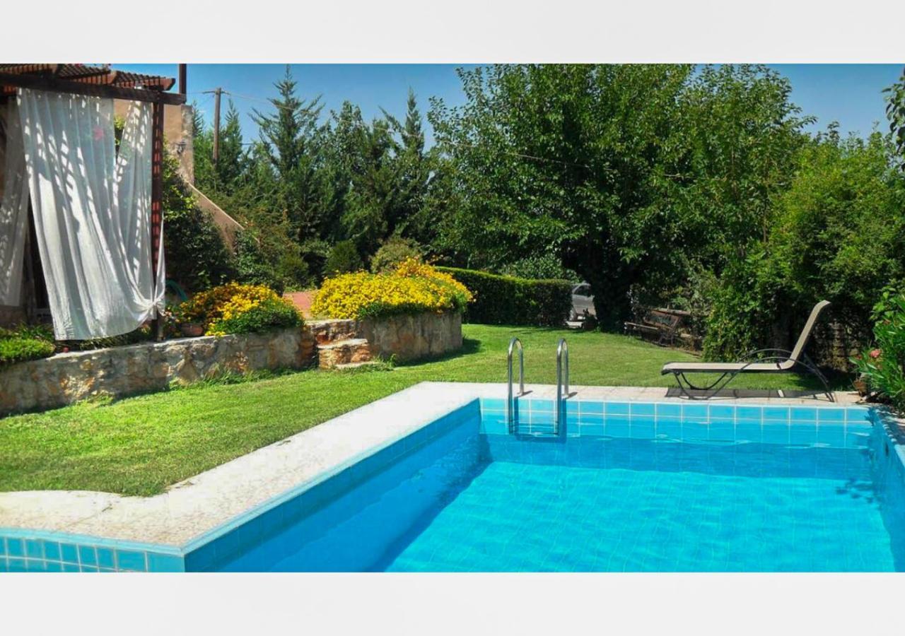 Skine With Private Pool And Garden *
