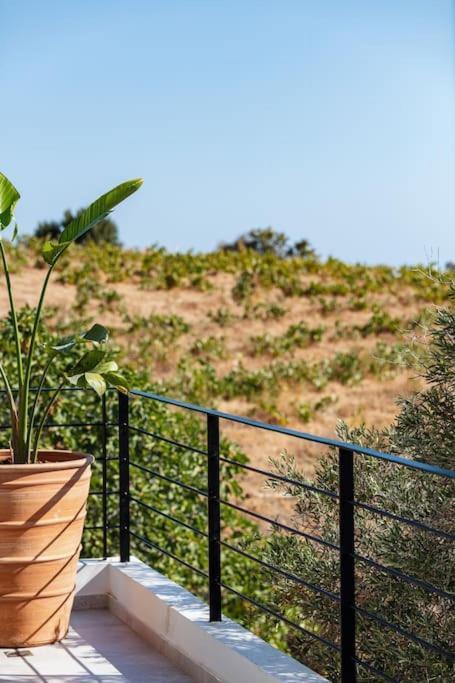 Ikon Living Chania *
