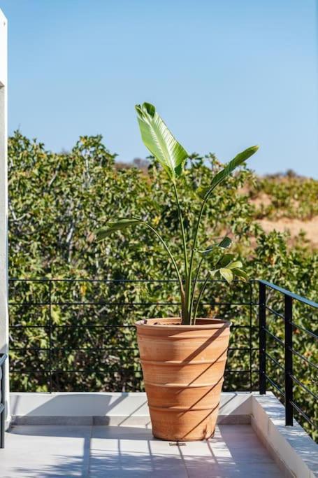 Ikon Living Chania Holiday home Chania (Crete)