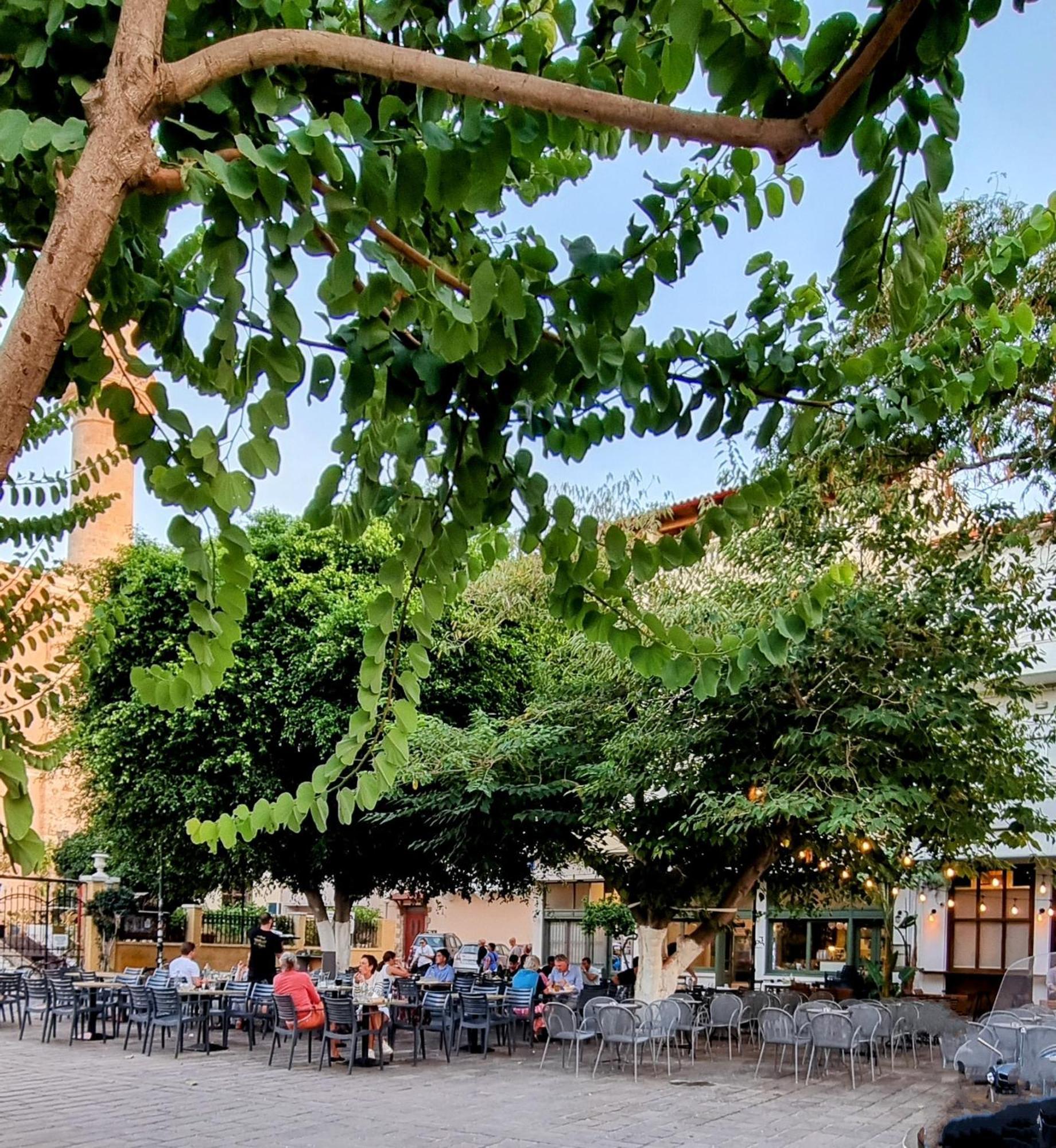 Holiday home Thimari Gardens Chania (Crete)