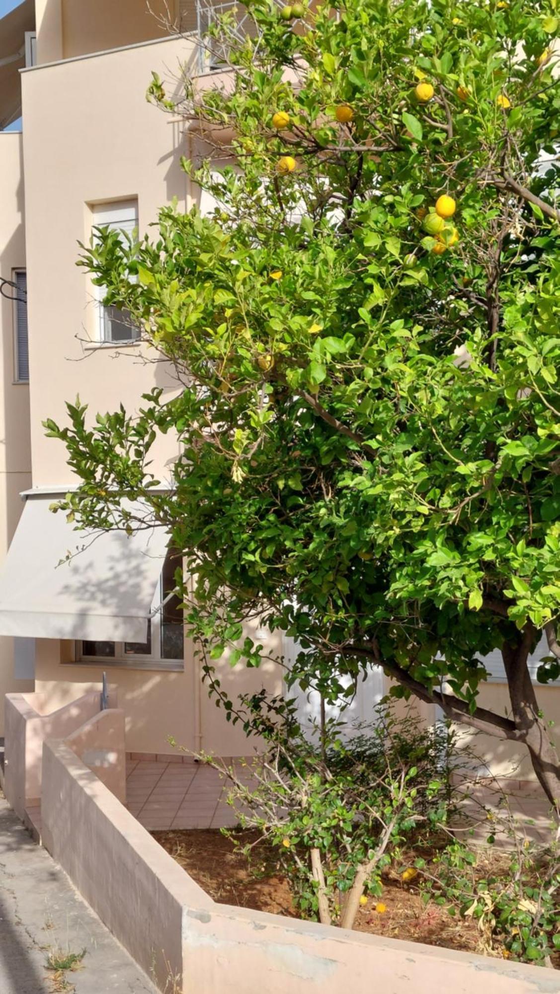 Ferienhaus Sunbeam Retreat Chania (Crete)
