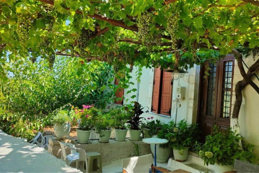 Sergios Ferienhaus