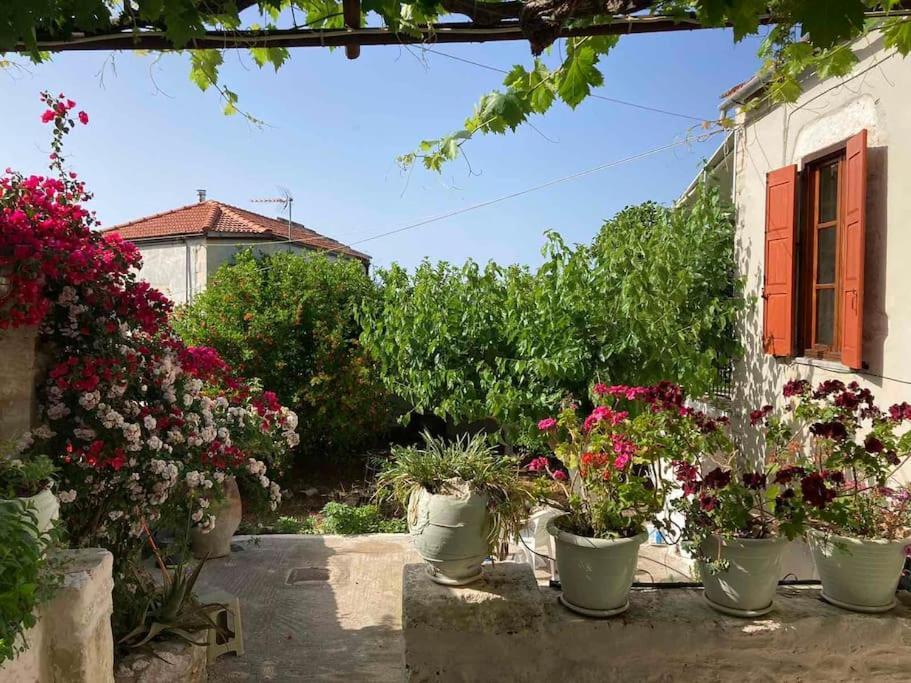 Ferienhaus Sergios