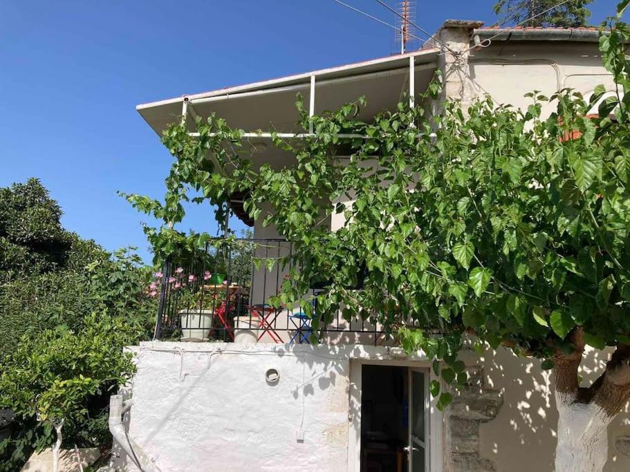 Sergios Chania (Crete)