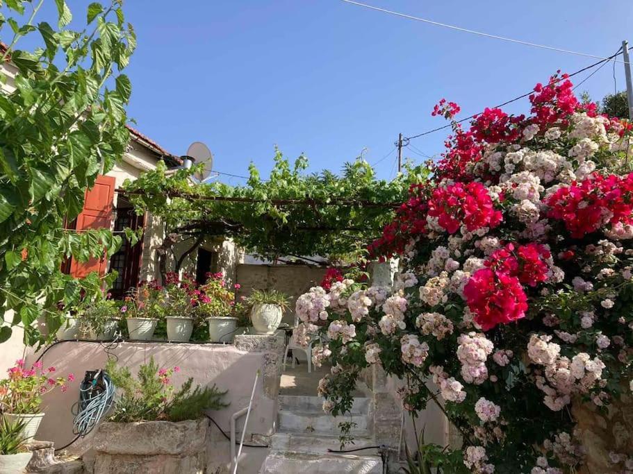 Sergios Holiday home