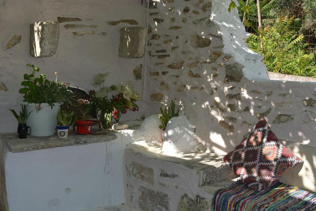 Sergios Ferienhaus *