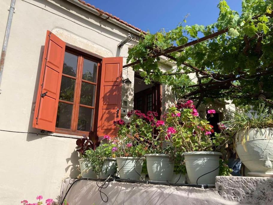 Ferienhaus Sergios *