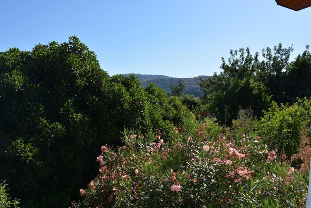 Sergios Holiday home