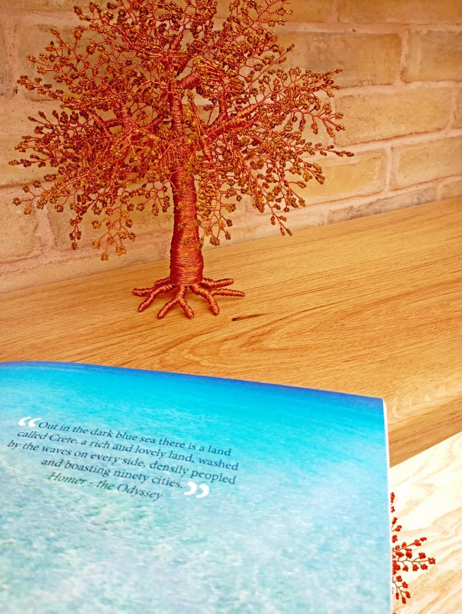 Hotel Domus Vivendi Chania (Crete)