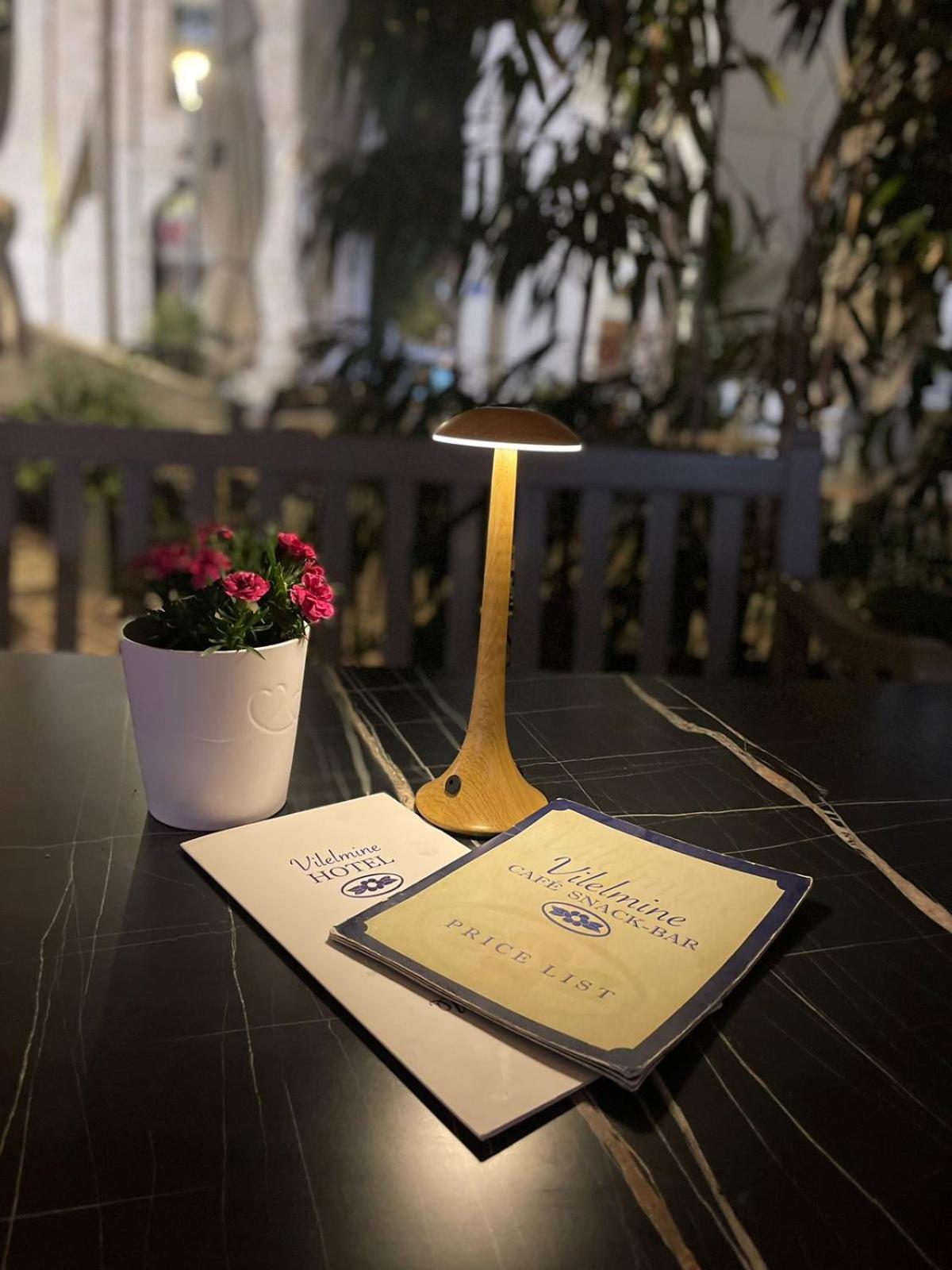 Hotel Vilelmine Chania (Crete)