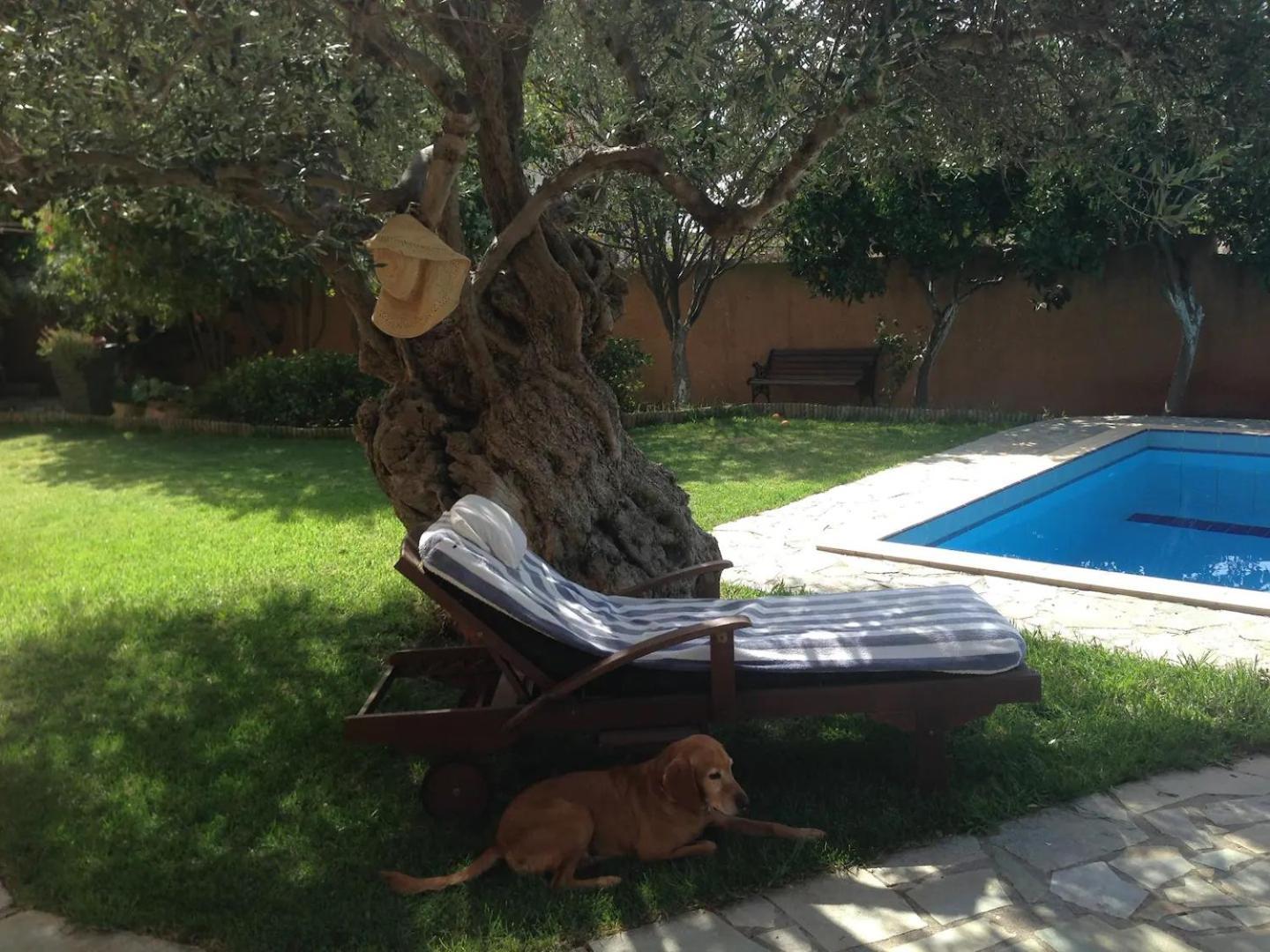 Olivo Kampani Chania (Crete)