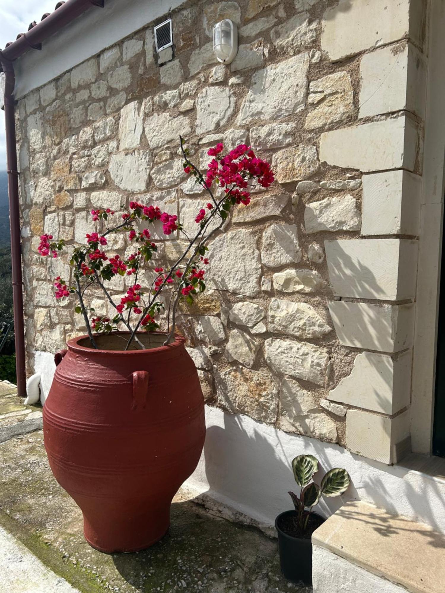 Appartement Ormilia Chania (Crete)