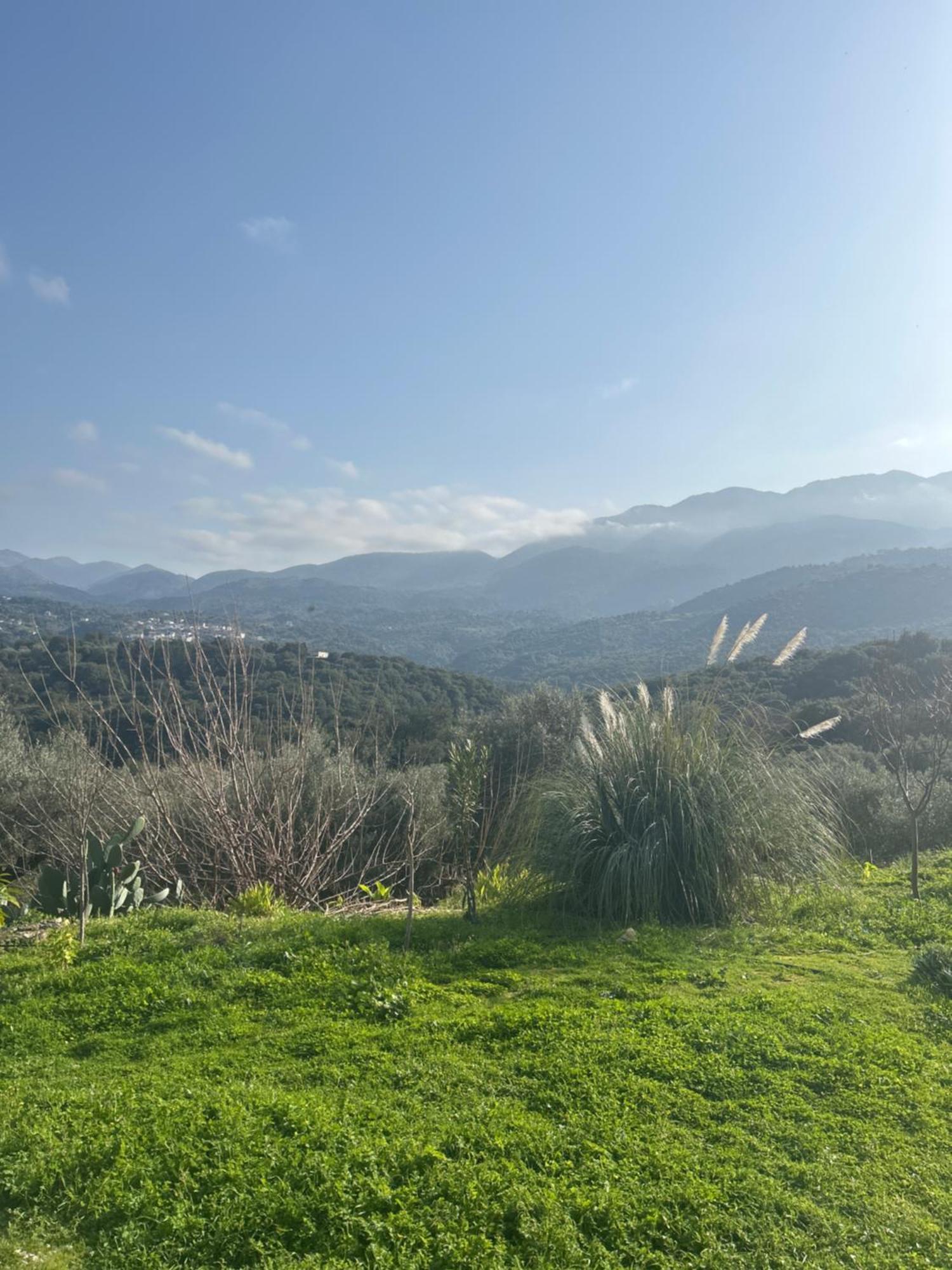 Ormilia Chania (Crete)
