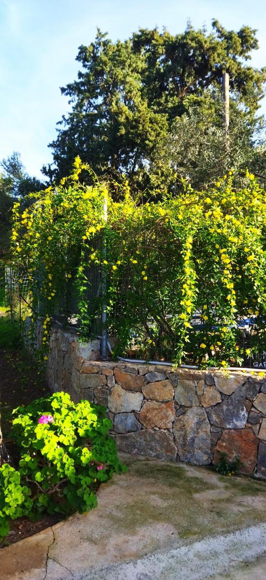 Holiday home Anna's Garden House Chania (Crete)