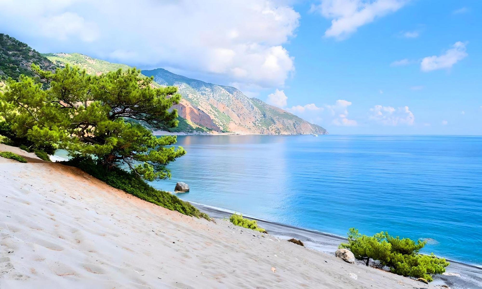 Eliomar Beachside