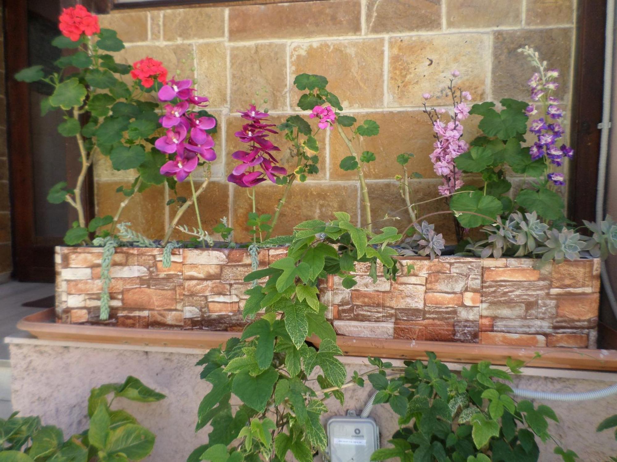 Tina Hotel Chania (Crete)
