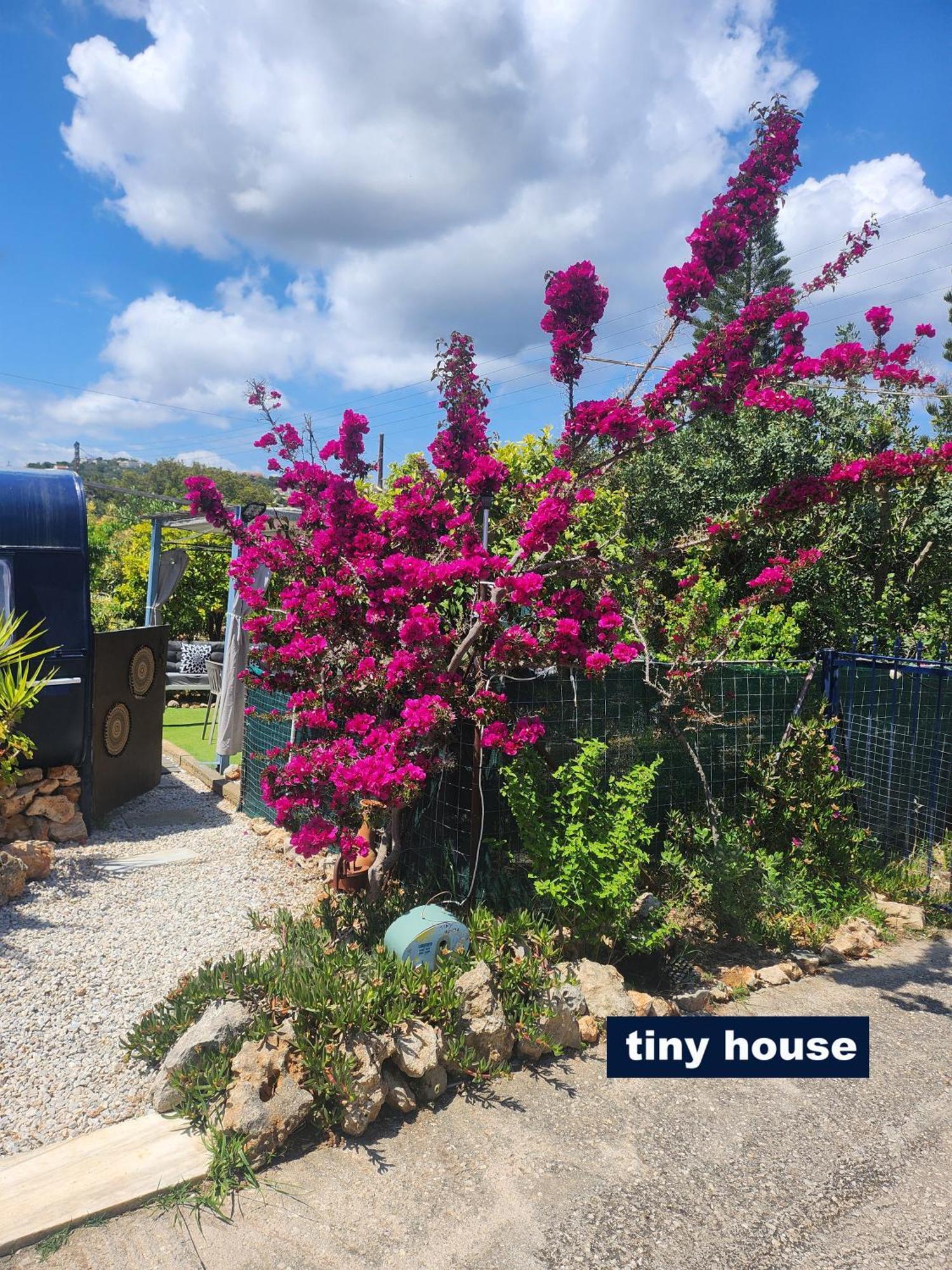 Dream Tiny House Or Luxus Tent With Pool