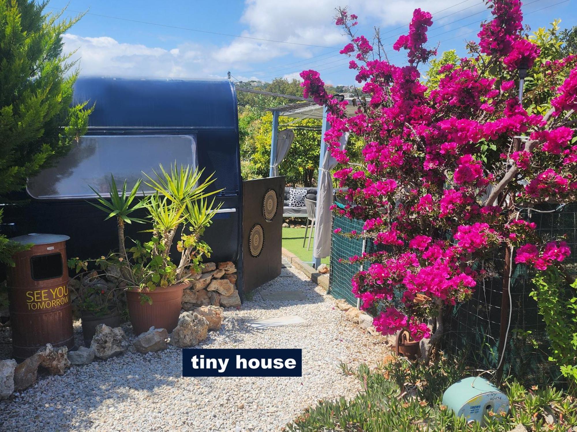 Dream Tiny House Or Luxus Tent With Pool Holiday home