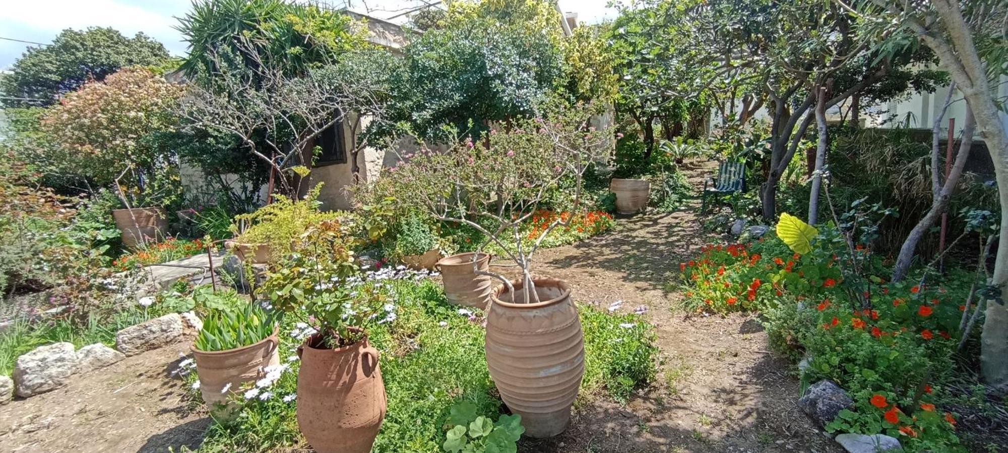 Stone House Into Amazing Garden Holiday home Chania (Crete)