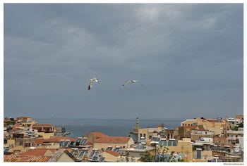 Elia Bettolo 3* Chrissi Akti Chania